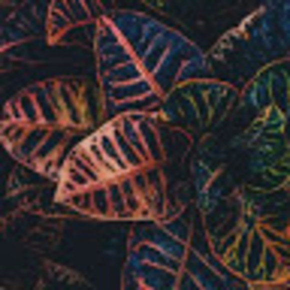 Meet your Posher, King - Picture 1 of 1